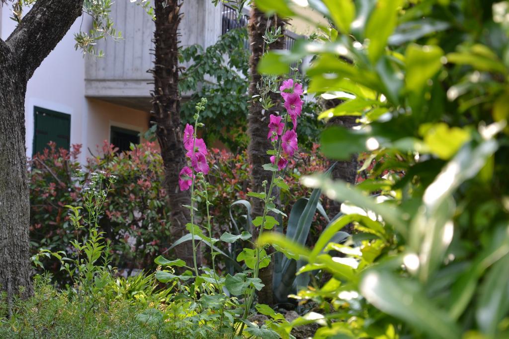 B&B Garda 4U Desenzano del Garda Ngoại thất bức ảnh
